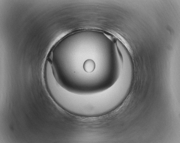 X0000116681285201001041141