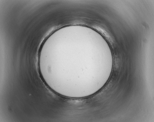 X0000116681286201001041141