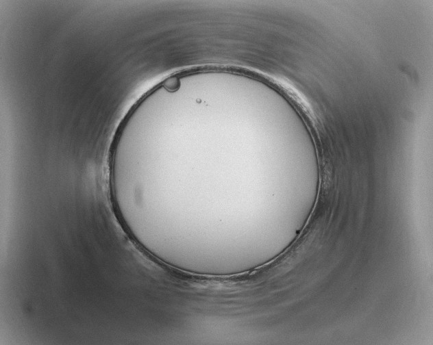 X0000116681287201001041141