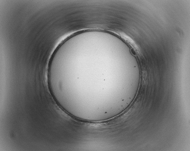 X0000116681288201001041141