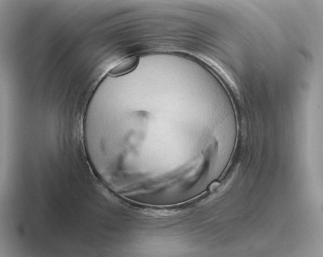 X0000116681289201001041141