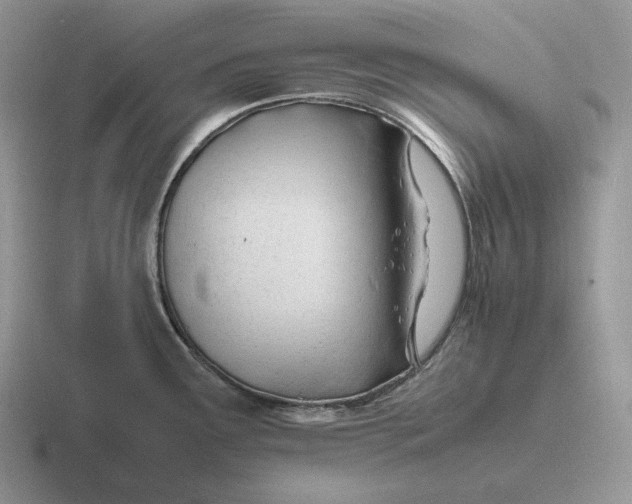 X0000116681291201001041141