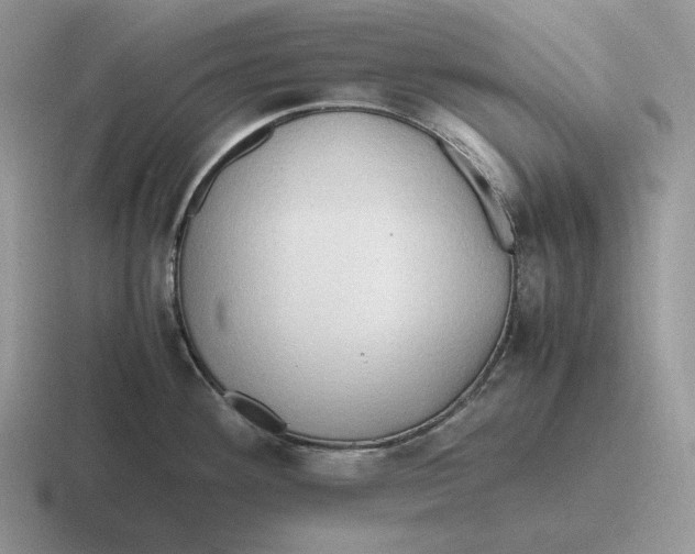 X0000116681292201001041141