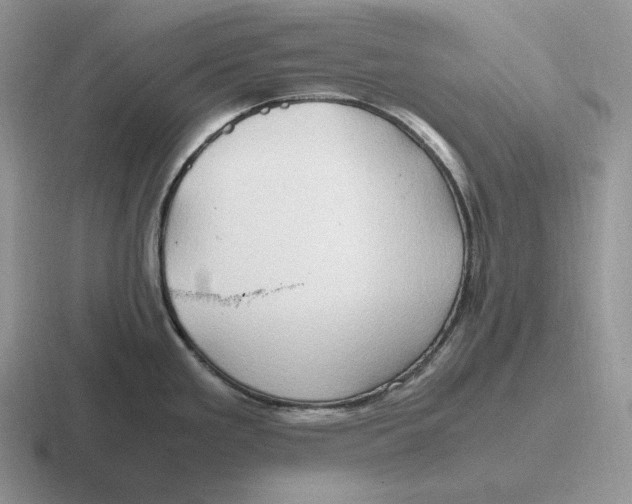 X0000116681293201001041141