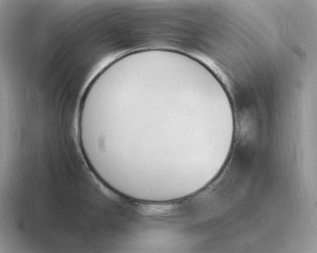 X0000116681294201001041141