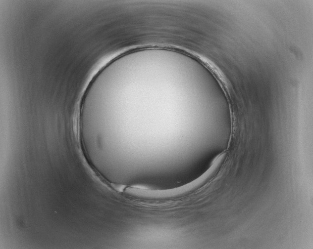 X0000116681295201001041141