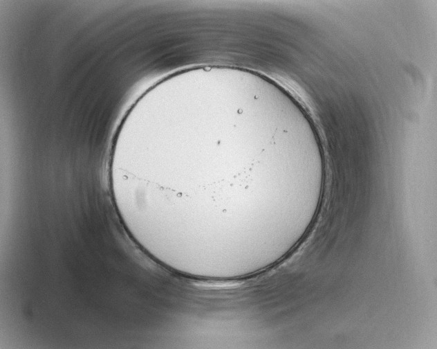 X0000116681296201001041141