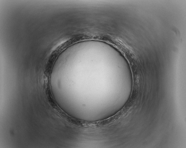 X0000116681302201001041141