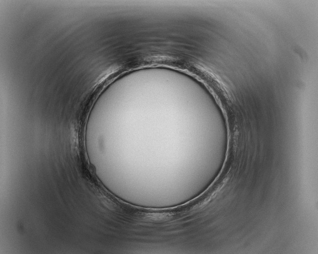 X0000116681305201001041141