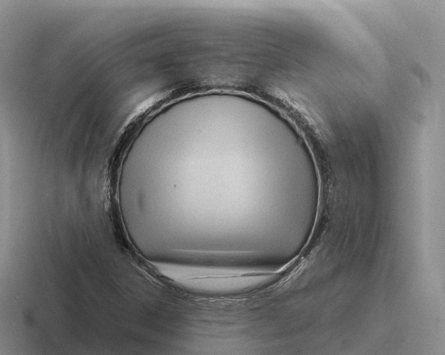 X0000116681306201001041141