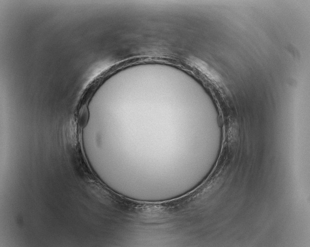 X0000116681310201001041141