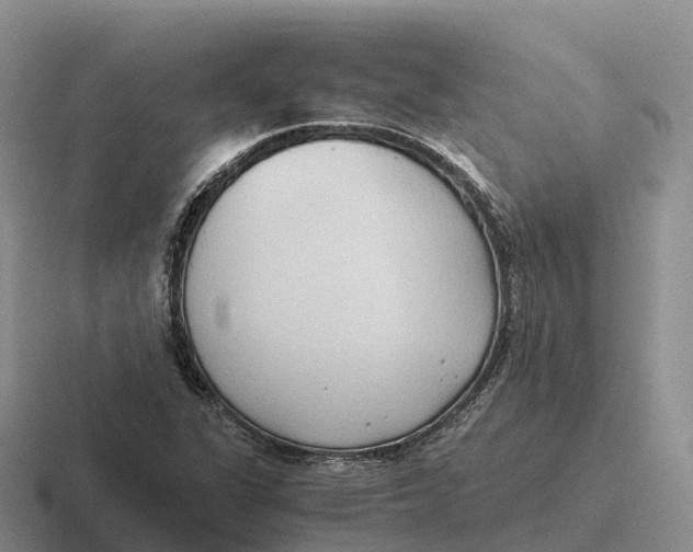 X0000116681311201001041141