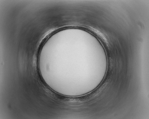 X0000116681318201001041141