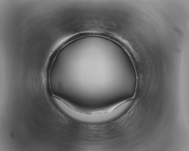 X0000116681319201001041141