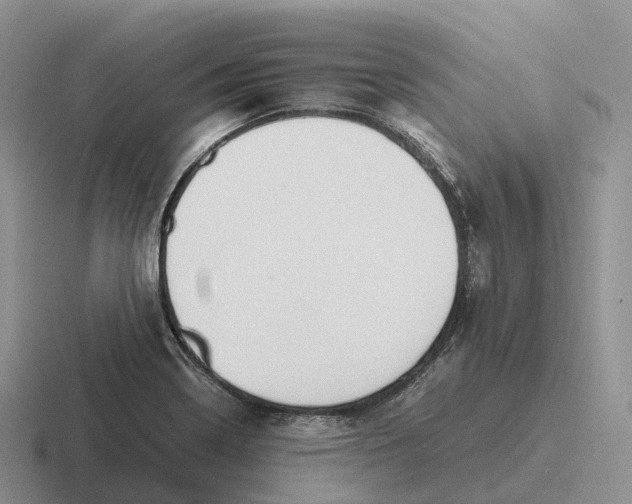 X0000116681322201001041141