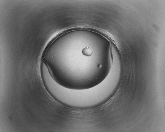 X0000116681326201001041141