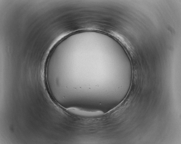 X0000116681331201001041141