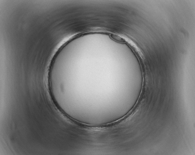 X0000116681333201001041141