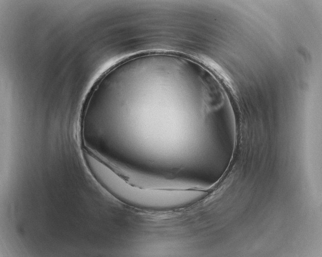 X0000116681334201001041141