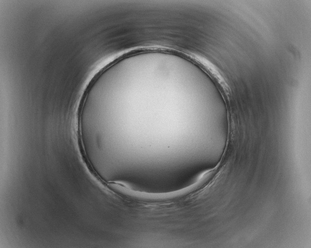 X0000116681335201001041141