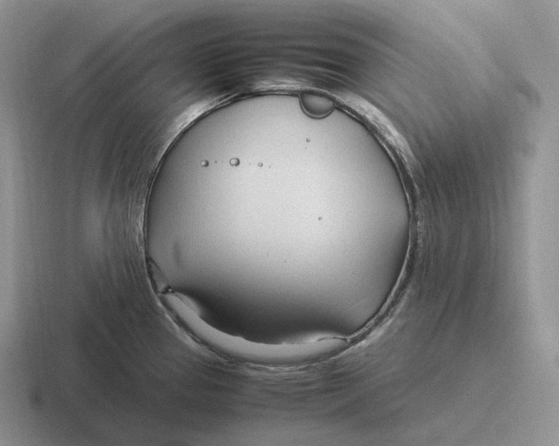 X0000116681337201001041141