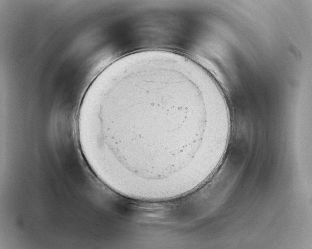 X0000116681338201001041141