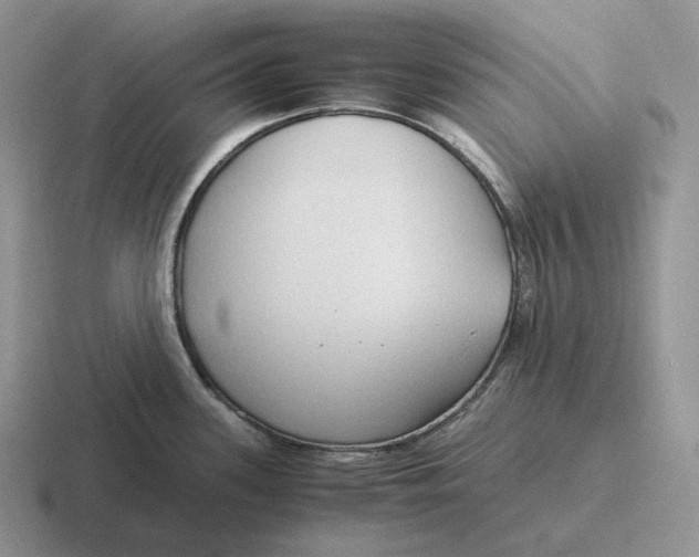 X0000116681339201001041141