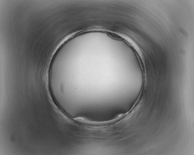 X0000116681341201001041141