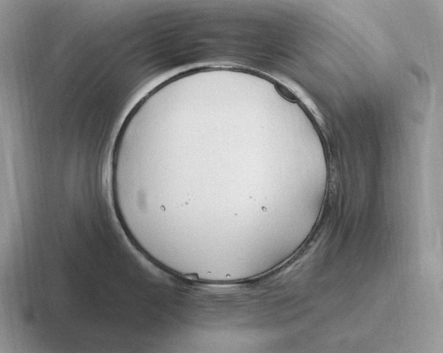 X0000116681343201001041141