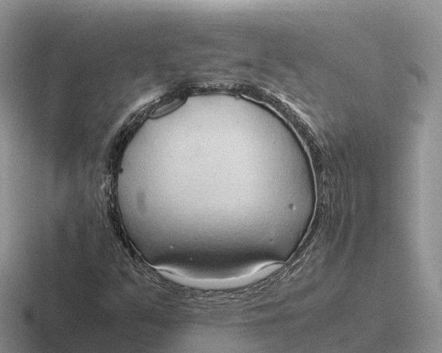 X0000116681351201001041141