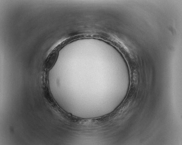 X0000116681352201001041141