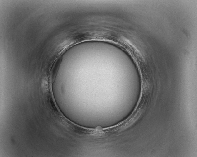 X0000116681353201001041141