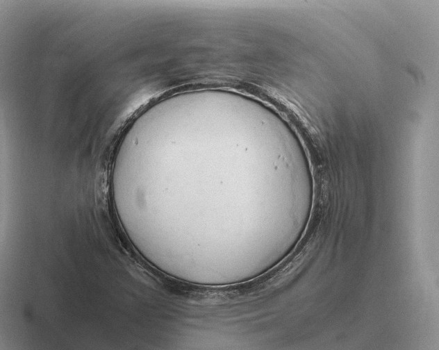 X0000116681355201001041141