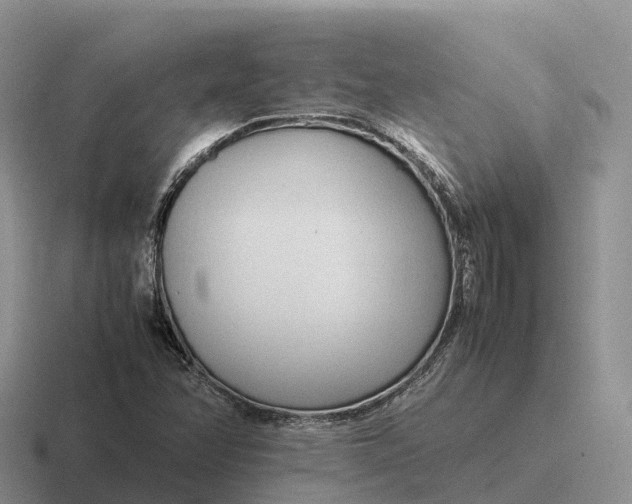 X0000116681358201001041141