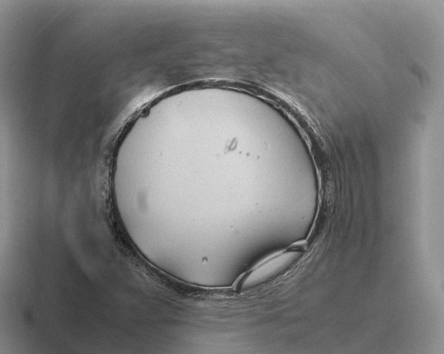 X0000116681359201001041140