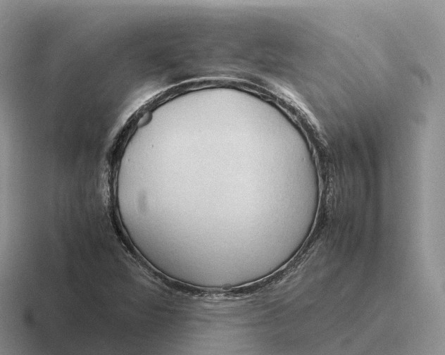 X0000116681360201001041140