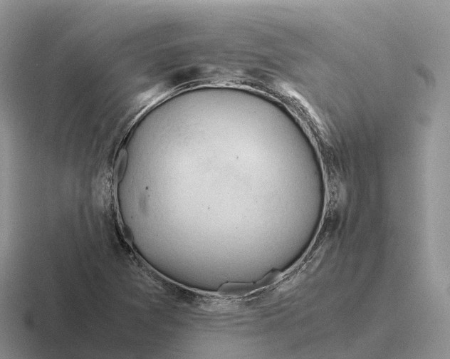 X0000116681361201001041140