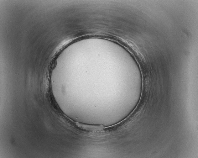 X0000116681363201001041140