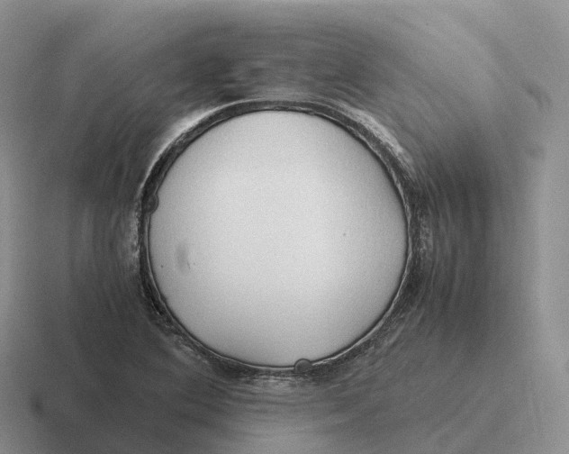 X0000116681364201001041140