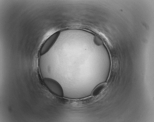 X0000116681365201001041140