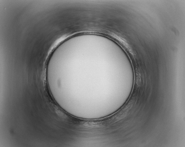 X0000116681366201001041140