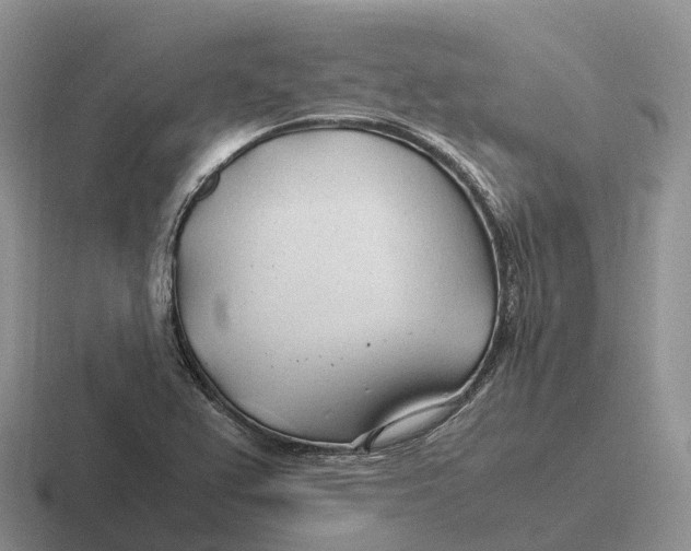 X0000116681367201001041140