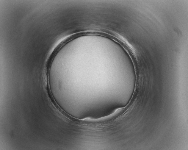 X0000116681368201001041140