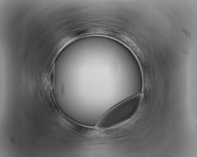 X0000116681369201001041140