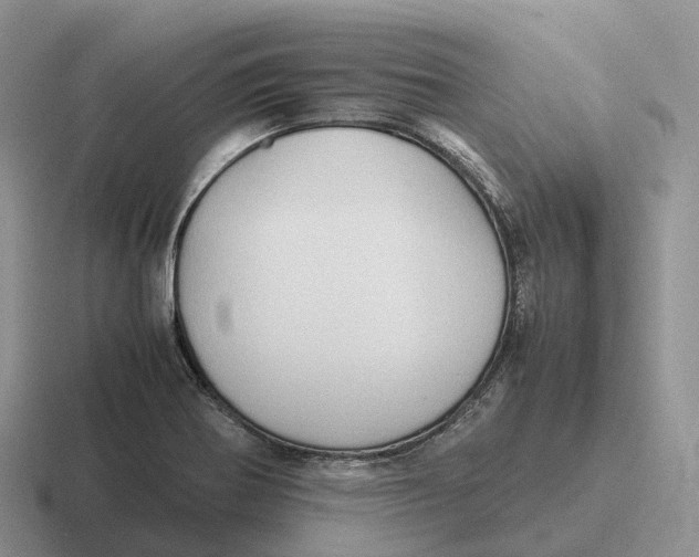 X0000116681370201001041140