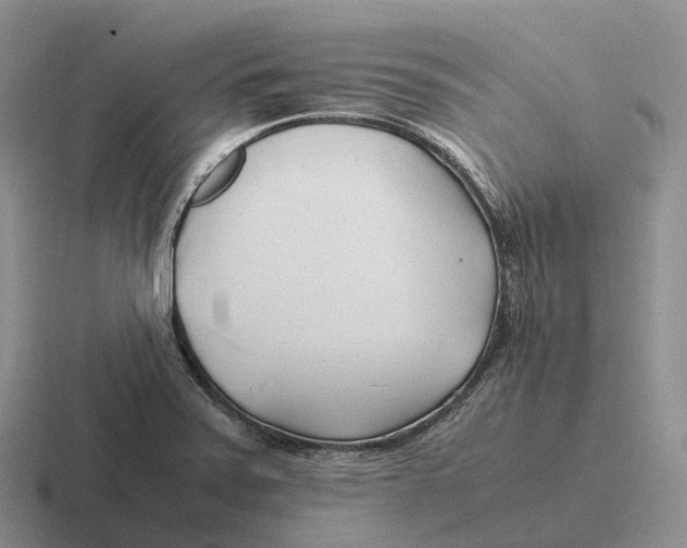 X0000116681371201001041140