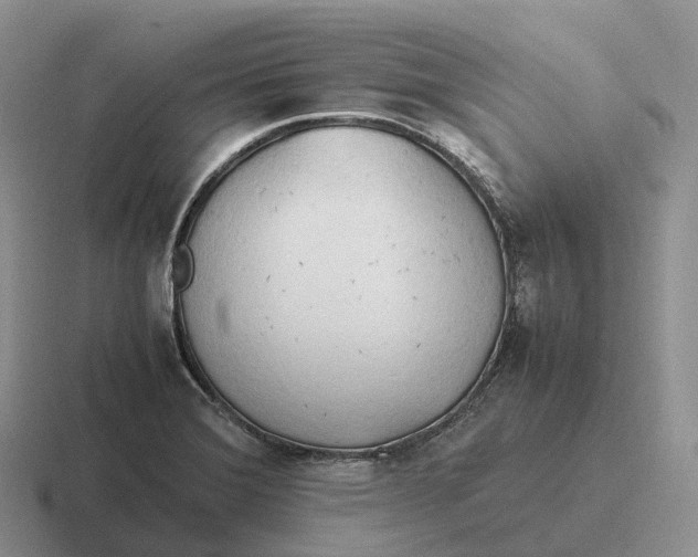 X0000116681372201001041140