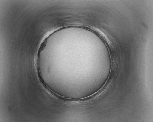 X0000116681373201001041140