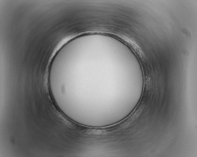 X0000116681374201001041140