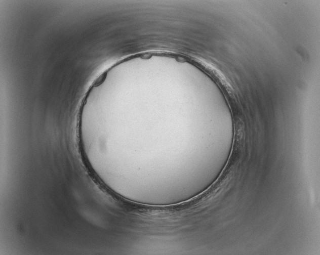 X0000116681375201001041140